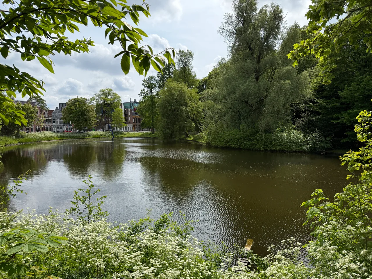 Een groene plek aan het water in Groningen