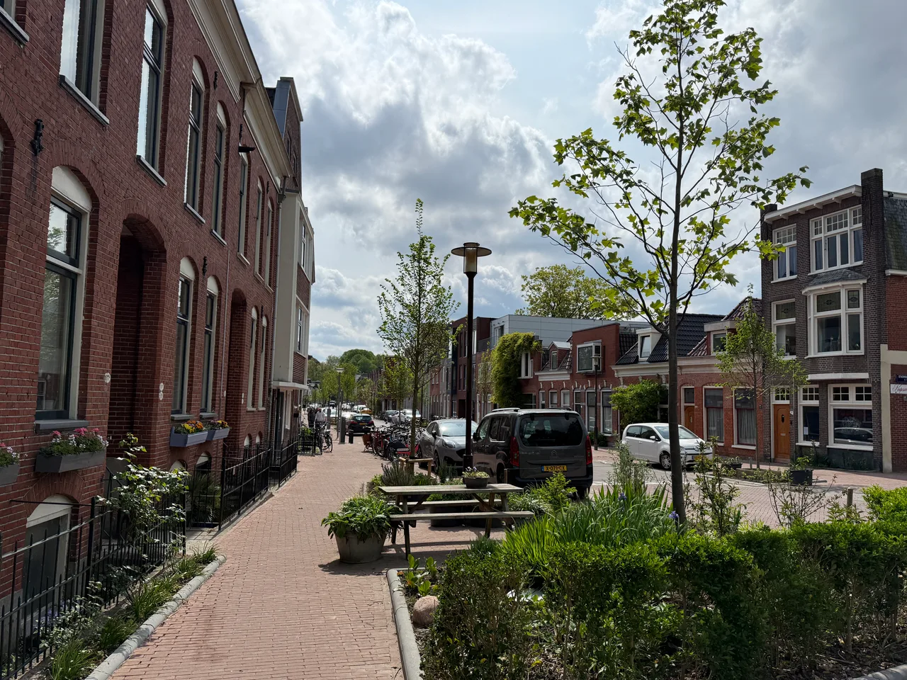 Karakteristieke panden aan een groene straat in Groningen